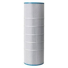 Pentair Purex DM 120 Replacement Cartridge 120 Sq Ft
