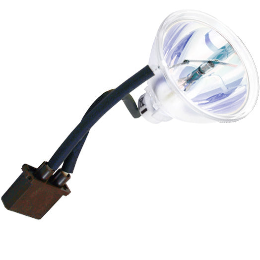 Lesco Replacement SPECTRUM 100 UV bulb/reflector