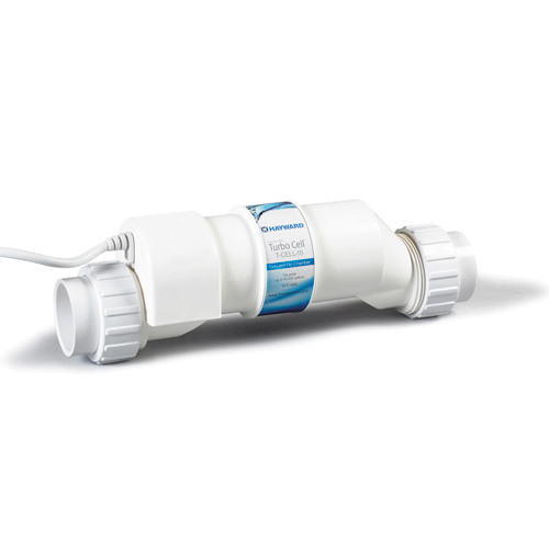 hayward t-cell-15